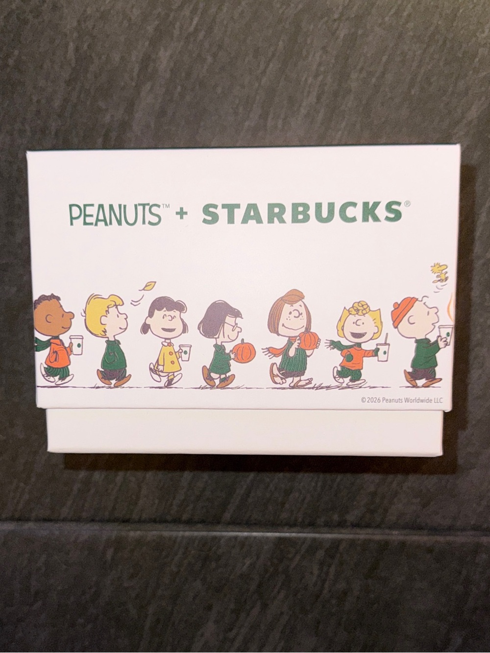 Limited Edition Starbucks x Peanuts Great Pumpkin Ceramic Mug